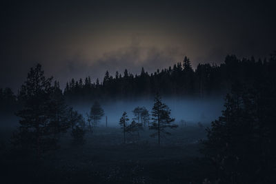 Silhouette trees in forest against sky during foggy weather