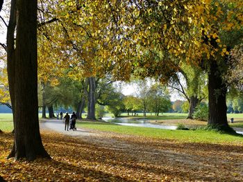 People walking on footpath in park during autumn