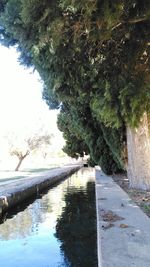 Scenic view of tree by water against sky