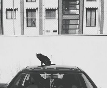 View of built structure