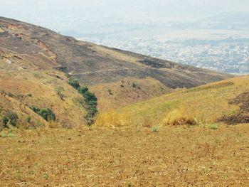 Scenic view of landscape