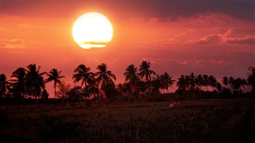 Scenic view of sunset