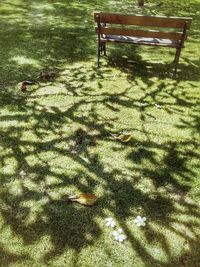 High angle view of shadow on grass in park