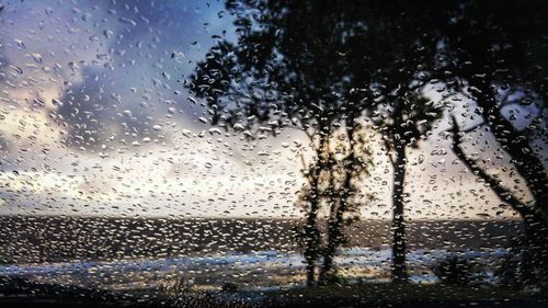 Close-up of water drops on glass