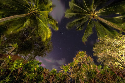 Reflection of trees in water