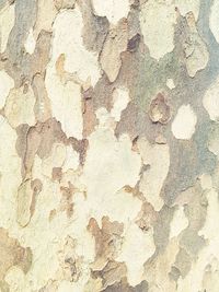 Full frame shot of weathered wall