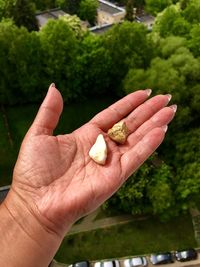 Close-up of hand holding leaf