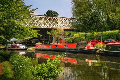 View of bridge over river against trees