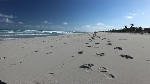 Scenic view of beach against sky