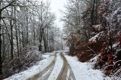 Snow covered road passing through forest