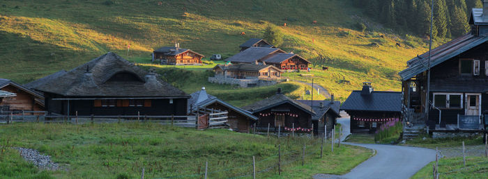 Houses on field