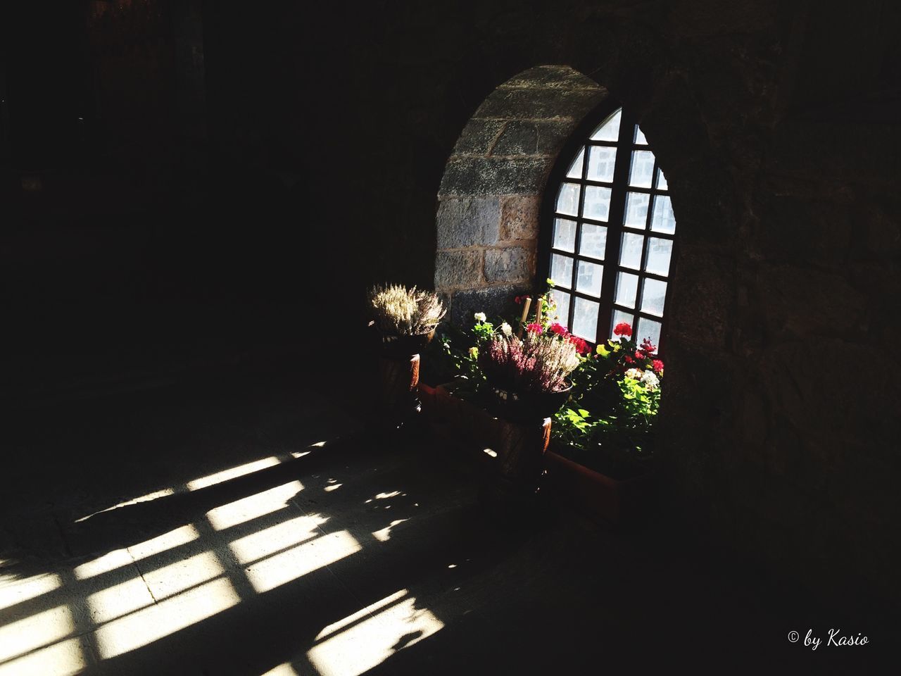 indoors, architecture, built structure, window, growth, building exterior, plant, glass - material, dark, low angle view, potted plant, flower, no people, sunlight, day, clear sky, home interior, tree, house, building
