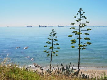 Scenic view of sea against clear sky