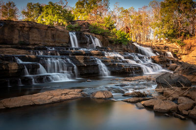 Scenic view of waterfall in forest