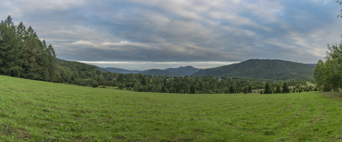 Scenic view of field against sky