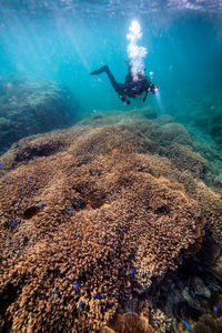 Woman scuba diving in sea