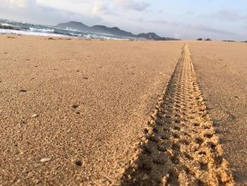 Surface level of beach