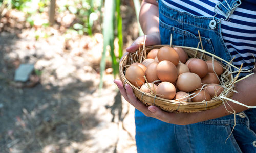 Eggs in basket