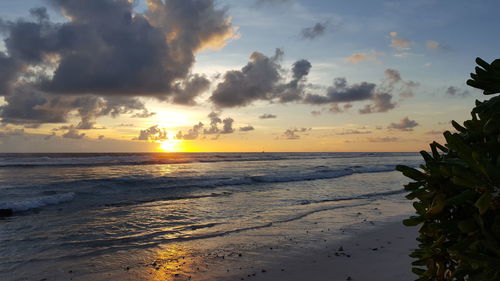 Scenic view of sea at sunset