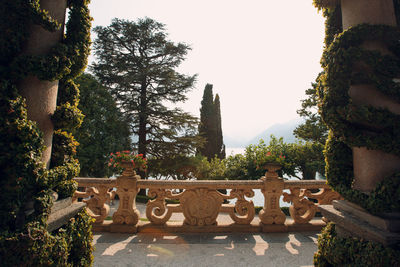 Old ruin amidst trees against sky