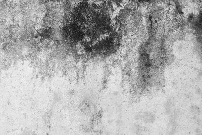 Full frame shot of textured wall