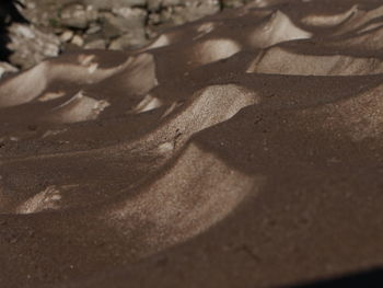 Close-up of shadow on sand