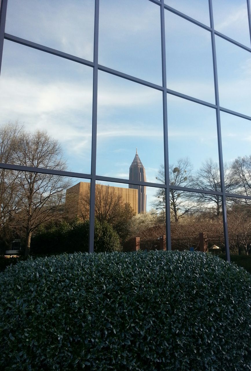 architecture, built structure, sky, building exterior, tree, cloud - sky, cloud, day, window, no people, cloudy, house, glass - material, outdoors, bare tree, nature, low angle view, field, blue, fence