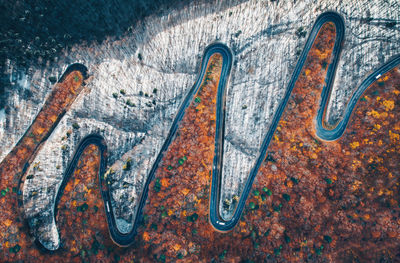 Aerial view of two seasons - ekg of nature