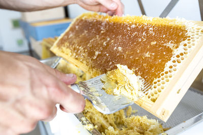 Close-up of person preparing food