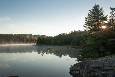 Scenic view of lake by trees in forest against sky