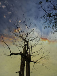 Silhouette bare tree against sky