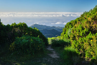 Scenic view of mountains against sky