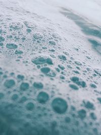 Close-up of bubbles in water