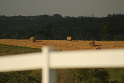 Hay bales on field against sky