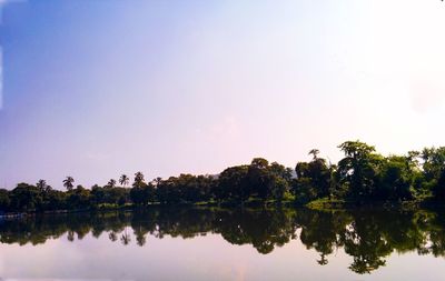 Reflection of trees in calm lake