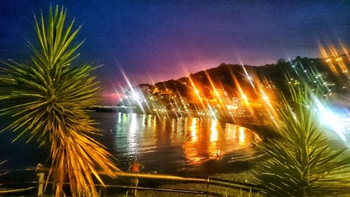 Illuminated palm trees by sea against sky at night