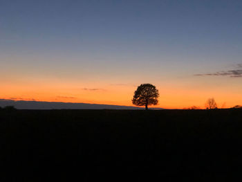 Silhouette trees on field against sky during sunset