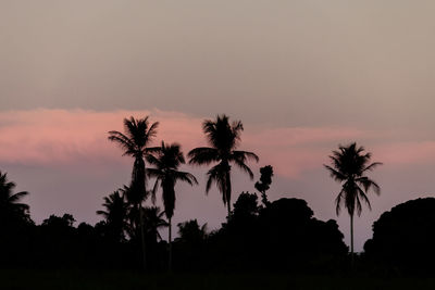 Silhouette palm trees against sky during sunset