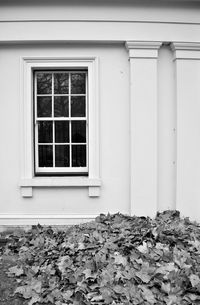 Closed window of old building