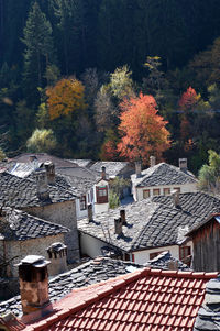 High angle view of houses and trees in town