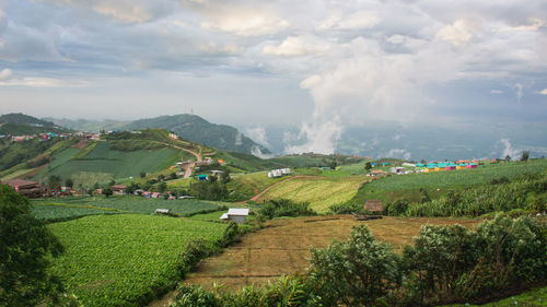 Scenic view of agricultural field against sky