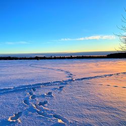 Scenic view of frozen sea against blue sky during winter
