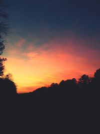 Silhouette of trees at sunset