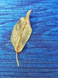 High angle view of maple leaf on wood