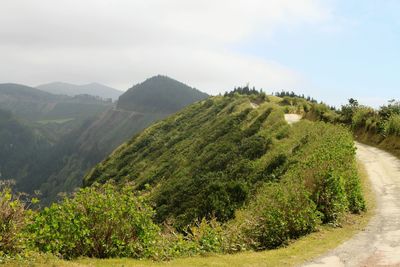 Scenic view of green landscape against sky