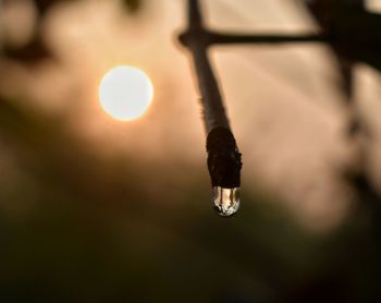 Close-up of water droplet with sun rising in background