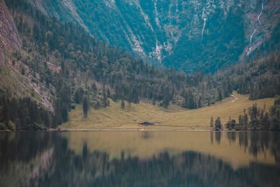 Scenic view of lake by trees against sky