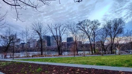 Bare trees in park against sky