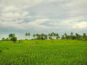 Scenic view of field against sky