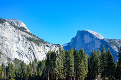 Panoramic view of trees and mountains against clear blue sky